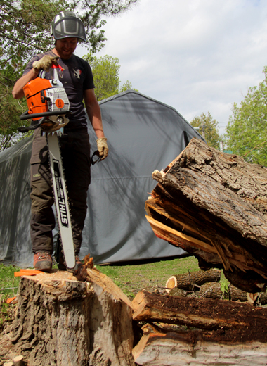 Man supporting large chainsaw standing on stump of tree just cut down