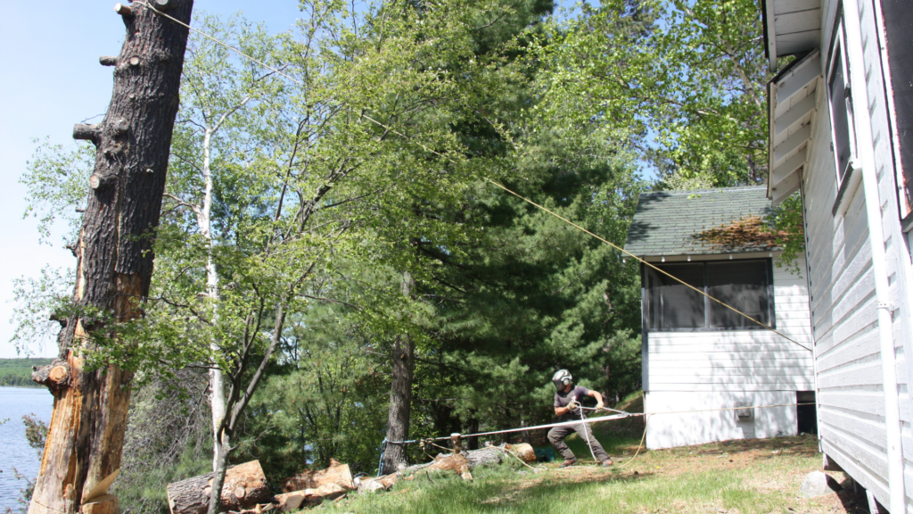 Man preparing to cut down tree near house